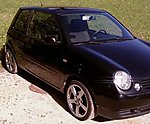 Lupo