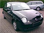 Spike130's Lupo
