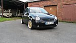 Lupo
