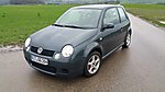 Lupo