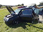 Lupo