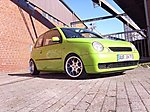Lupo