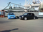 Lupo