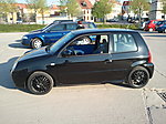 Lupo