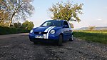 Lupo