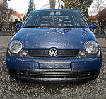 Muth's Lupo