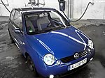 Lupo