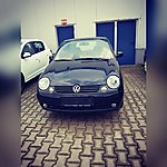 Lupo