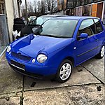 Lupo