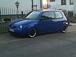 Lupo