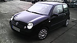 Lupo