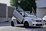 Lupo