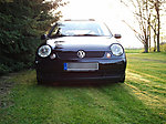 Lupo