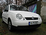 Lupo
