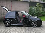Lupo