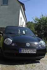 Lupo