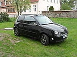 Lupo