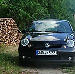Lupo