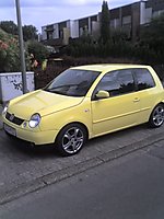 Lupo