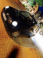 Lupo