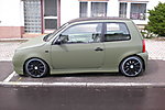 Lupo
