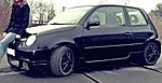 Lupo