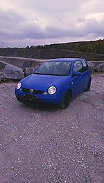 Lupo