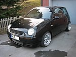 Lupo