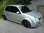 Lupo