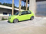 Lupo