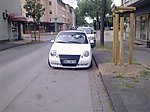 Lupo