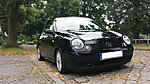 Lupo