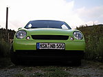 Lupo