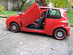 Lupo