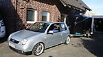 Lupo