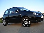 Lupo