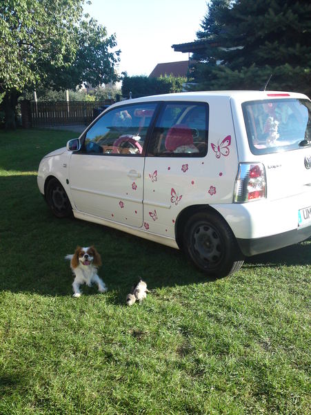 VW Lupo