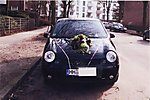 Lupo