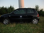 Lupo