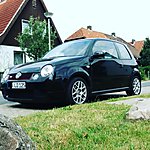 Lupo