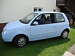 Lupo