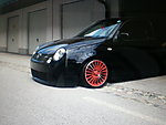 Lupo