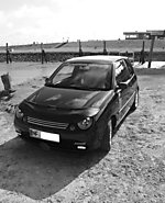 Lupo