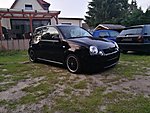Lupo