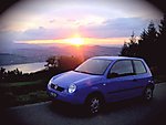 Lupo