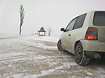 Lupo