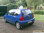 Lupo