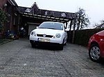 Lupo