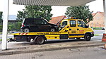 Lupo