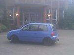 Lupo